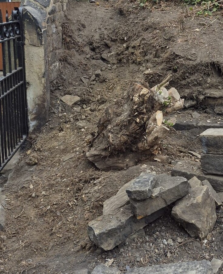 TASK5 - With much manual effort, the privet tree stump was dug out
